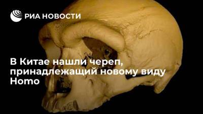 В Китае нашли череп, принадлежащий новому виду Homo - ria.ru - Москва - Китай - провинция Хэйлунцзян