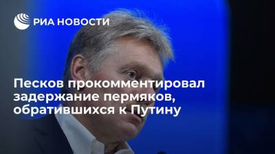 Пресс-секретарь президента Песков прокомментировал задержание пермяков, обратившихся к Путину