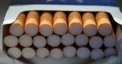 Контрафакт и неуплата налогов: незаконный табачный бизнес в Желтых Водах 2021 года