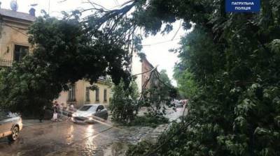 Буря во Львове – власти города объявили чрезвычайную ситуацию