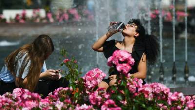 Продажи мороженого в Петербурге выросли на фоне аномальной жары