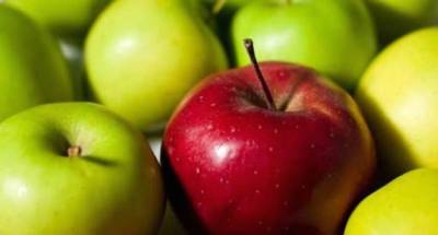 Различия и пользу яблок разных цветов оценили диетологи