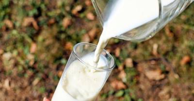 Минтруд предложил выдавать молоко за работу во вредных условиях
