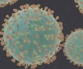 Новый коронавирус инфицирует яички мужчин