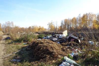 В Томской области местный житель очистил от свалки 3,5 га земли