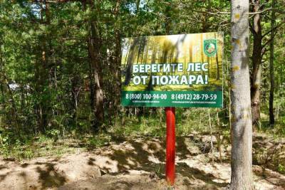 С 25 июня в лесах Рязанской области установился IV класс пожарной опасности