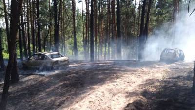 В Воронежской области в лесу сгорели два автомобиля и сожгли лес