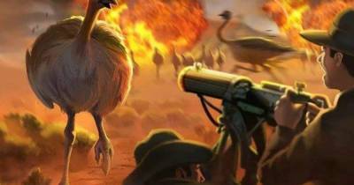 Странная война. За что австралийцы перестреляли 2500 страусов