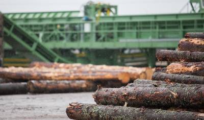 В Уфе приостановили работу крупнейшей лесоперерабатывающей компании