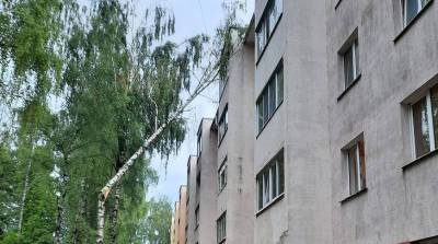 В Витебской и Могилевской областях из-за прохождения грозового фронта повреждены жилые дома и автомобили