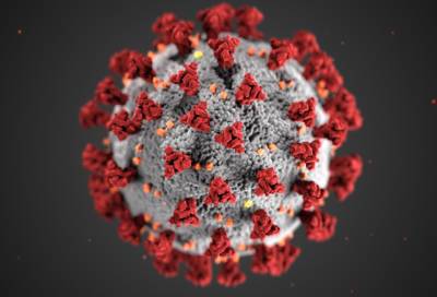 Почти 44 тыс. человек сдали тест на коронавирус в Петербурге за минувшие сутки
