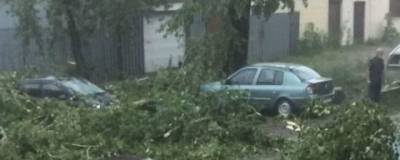 В Псковской области от урагана пострадали люди