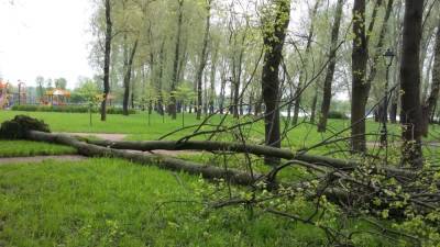 Четыре человека пострадали из-за урагана в Псковской области