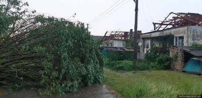 Ураган в Псковской области обесточил почти тысячу населенных пунктов