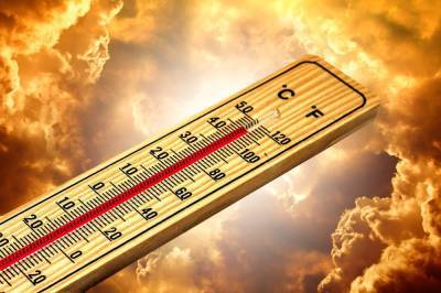 МЧС предупредило о сохранении аномальной жары в Рязанской области
