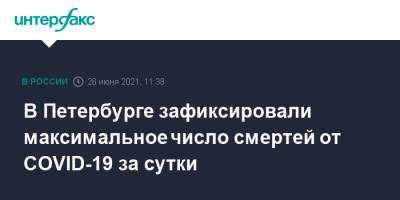 В Петербурге зафиксировали максимальное число смертей от COVID-19 за сутки