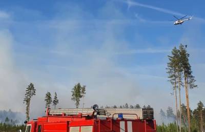 В Тверской области обнаружен очага лесного пожара