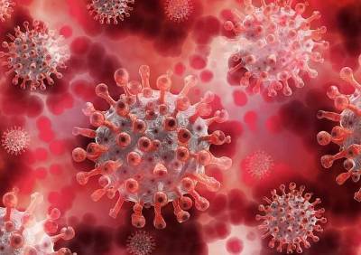В Рязанской области за сутки выявлено 75 случаев заражения коронавирусом