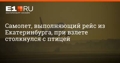 Самолет, выполняющий рейс из Екатеринбурга, при взлете столкнулся с птицей