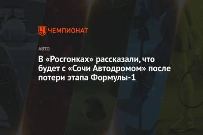 В «Росгонках» рассказали, что будет с «Сочи Автодромом» после потери этапа Формулы-1