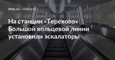 На станции «Терехово» Большой кольцевой линии установили эскалаторы