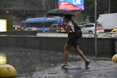 Синоптики предупредили о дожде и грозе в Москве в субботу
