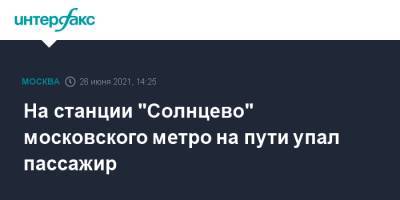 На станции "Солнцево" московского метро на пути упал пассажир