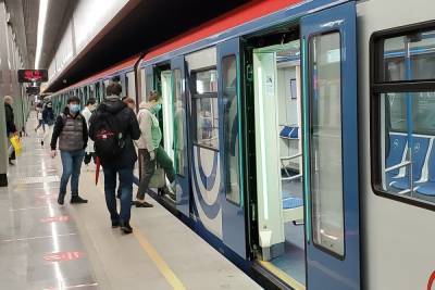 На желтой ветке московского метро останавливали движение из-за упавшего человека