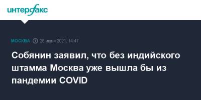 Собянин заявил, что без индийского штамма Москва уже вышла бы из пандемии COVID