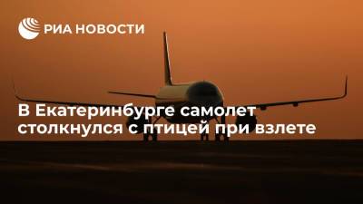 Самолет авиакомпании "Ямал", совершавший рейс из Екатеринбурга, столкнулся с птицей при взлете
