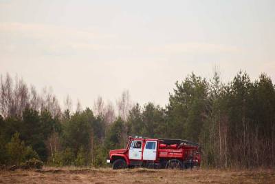 В Тверской области потушили лесной пожар