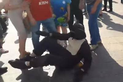 Антипрививочники на митинге в Москве избили Чебурашку