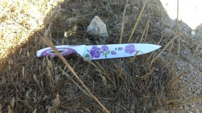 Нож с цветочками для убийства: в Самарии предотвращен теракт