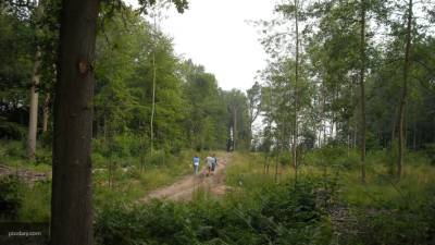 В каких районах Белоруссии запрещено посещать леса