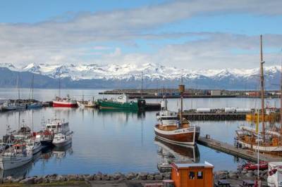 В Исландии власти приняли решение отказаться от всех ограничений из-за COVID-19