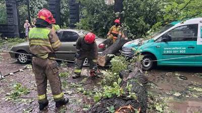 За пол часа - 60% месячной нормы дождя: спасатели рассказали о последствиях потопа во Львове