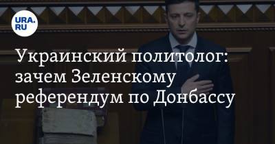 Украинский политолог: зачем Зеленскому референдум по Донбассу