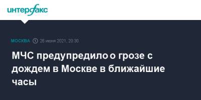 МЧС предупредило о грозе с дождем в Москве в ближайшие часы