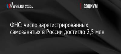 ФНС: число зарегистрированных самозанятых в России достигло 2,5 млн