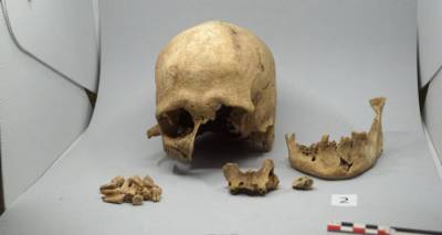 В Китае нашли череп, принадлежащий новому виду Homo