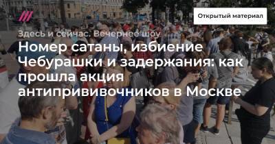 Номер сатаны, избиение Чебурашки и задержания: как прошла акция антипрививочников в Москве