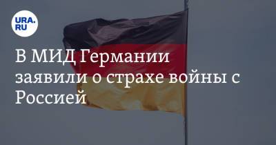 В МИД Германии заявили о страхе войны с Россией