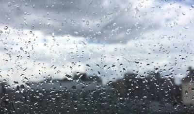 Тюменцев ждет пасмурное и дождливое воскресенье