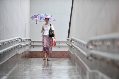 Москвичей предупредили о фрагментарных дождях в воскресенье