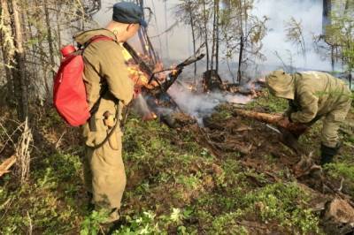 В России за сутки ликвидировали 97 природных пожаров