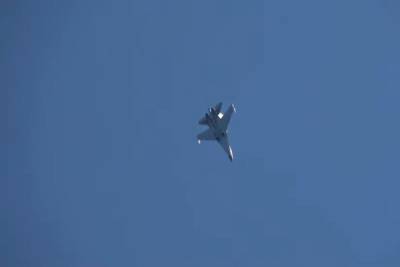 NI смоделировал бой между Су-35 против американских F-35