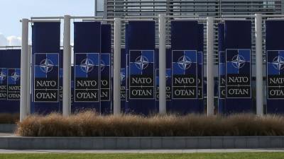 Посол ФРГ в Киеве объяснила, почему Украина боится вступать в НАТО