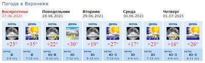 Рабочая неделя в Воронеже начнётся со спада жары и гроз