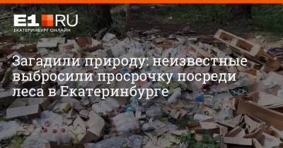 Загадили природу: неизвестные выбросили просрочку посреди леса в Екатеринбурге
