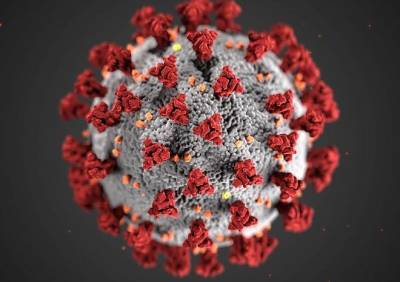 В Рязанской области за сутки выявлено еще 78 случаев заражения коронавирусом